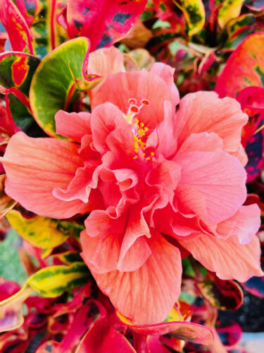 Send your best photos from Maui County to mauiphotos@mauinews.com for a chance to see them featured on our website and in our weekly print edition.  